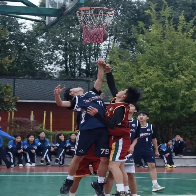 广厦男篮赛点战力全面解析